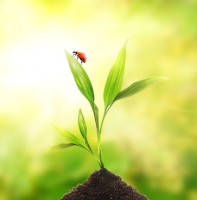 /album/ecoforse/a1243702011433-jpg/